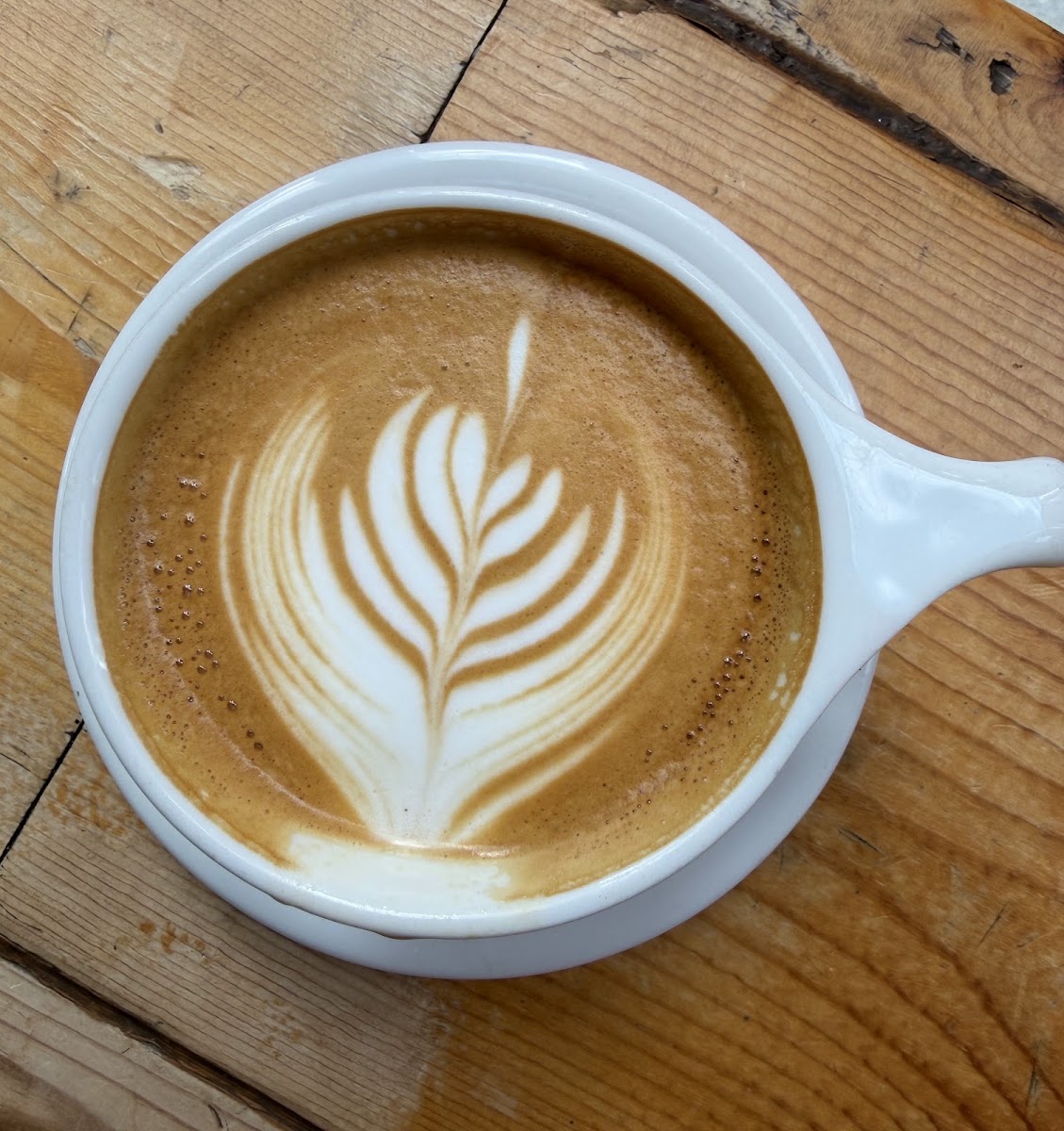 Fahrenheit Coffee Lombard
