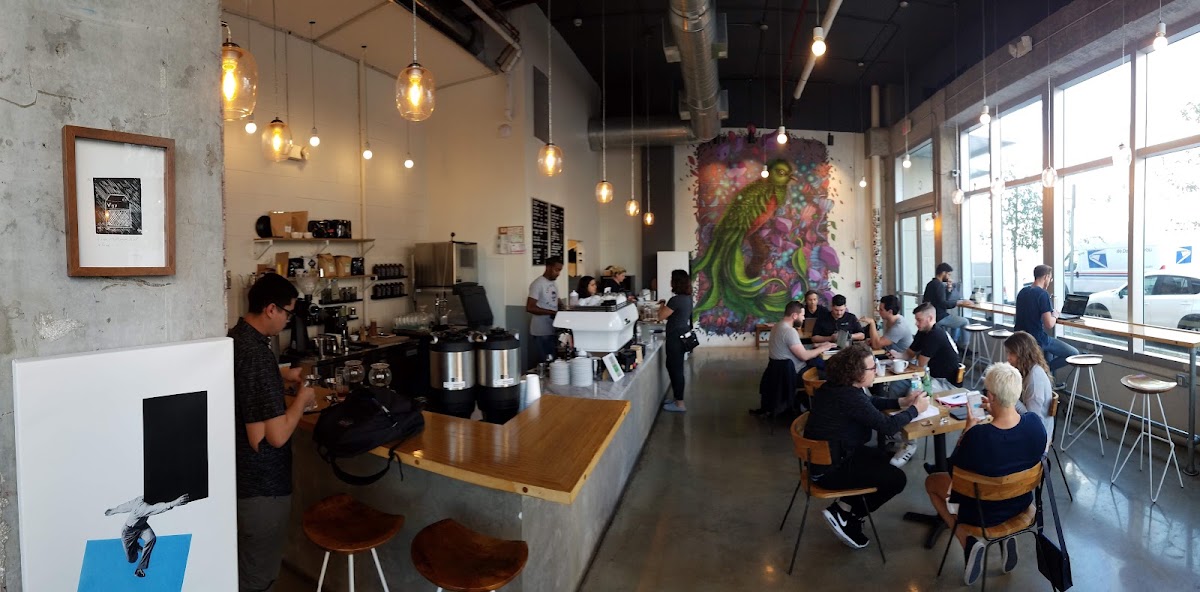 Vice City Bean – Wynwood