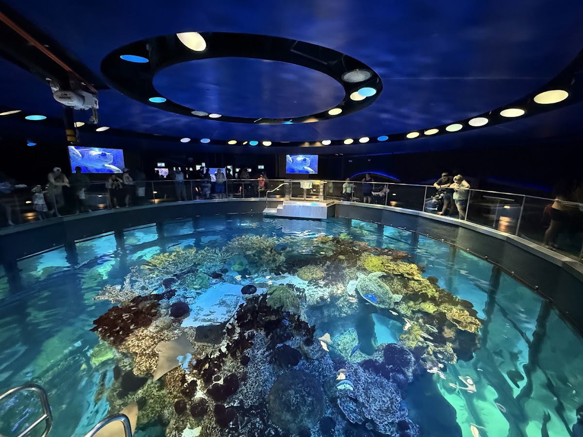 New England Aquarium
